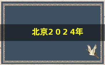 北京2 0 2 4年取消摇号